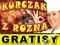 KURCZAK KEBAB BANER 2m/1m BANERY gastronomia pizza