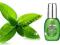 SALLY HANSEN Nail Nutrition ODŻYWKA ZIELONA HERBAT