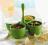Tupperware Bella Bufet + Gratis Tupperware Bella Bufet + Gratis