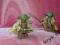 STAR WARS FIGURKA YODA EPISODE II