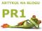 Wpis na blogu PR1 - pozycjonowanie SEO LINK