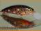 Wobler HAND-MADE TROCIOWY 7,5cm / 12,4g + PRZYPON