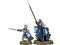 Dol Amroth Captain Foot Mounted