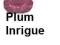 szminka idealny pocałunek PLUM INTRIGUE 3,6gAVON