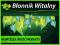 BŁONNIK WITALNY 1080 g naturalne odchudzanie dieta