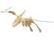 Puzzle drewniane_Pteranodon