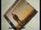 Richard Durand In Search Of Sunrise 10: Australia