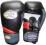 Rękawice BOKSERSKIE MASTERS ET BOXING RBT-ET 10 oz