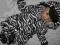 NOWY PAJACYK ZEBRA W ROZM. 3-6M (68CM)