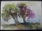 pejzaż - WIERZBY JESIEŃ DRZEWA - akwarela 20x29cm