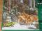 PUZZLE __ 529el. __ WILKI __ DWUSTRONNE