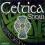 CELTICA SHOW - BOREASH- CELTYCKA,IRLANDZKA,CELTIC!