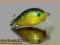 Wobler HAND-MADE 3,5cm / 4,3g + PRZYPON