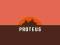 PROTEUS - STEAM GIFT!