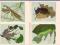 pocztówki OWADY Dziwne HEINTZE 4 szt RUCH 1964