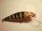 Wobler szczupakowy 11cm( Salmo Perch-przemalowany)
