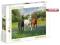 PUZZLE 1000 GALOPUJĄCE KONIE  CL39255  WYS.24H