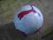 Piłka nożna PUMA Euro 2012 Orlen