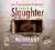Niewierny - Karin Slaughter (audiobook)