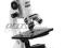 Mikroskop Delta Optical BioLight 40x- 640x