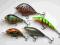 Wobler  Woblery ZESTAW 5szt  okoniowo-pstrągowe