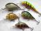 Wobler  Woblery ZESTAW 5szt  okoniowo-pstrągowe