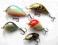 Wobler  Woblery ZESTAW 5szt  kleniowo-jaziowe