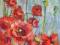 Akwarela 31 x 24 cm kwiaty maki  K.Konieczny