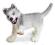 SCHLEICH 16373 HUSKY SZCZENIAK UNIKAT 2007 GRATIS