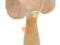 Kendama naturalna