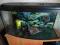 akwarium 200 panoramiczne