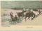 Szalona Jazda Stem. Młodzieży Kup. Pleszew ok.1900