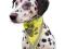 TRIXIE BANDAMKA ODBLASKOWA DLA PSA TX30121 XS/S