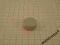 MW 25x10 magnes neodymowy magnesy neodymowe