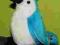 papuga niebieska TY