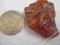 bursztyn bałtycki - 5,6 gram