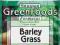 Green Barley Grass Młody Jęczmień zakwaszenie rwa