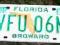 Tablica rejestracyjna - Floryda