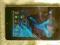 Asus Nexus 7 16 Gb