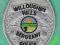 USA - Naszywka Sierzanta Policji z Willoughby