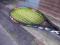 Rakieta tenisowa Volkl Organix 4