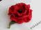 BROSZKA Z FILCU-śliczny kwiat mak