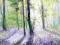nibybiel - Akwarela PEJZAŻ obraz - WIOSENNY LAS