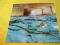 Barclay James Harvest- Turn of the Tide