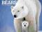 Kalendarz ścienny POLAR BEAR 2014 polarny Arktyka