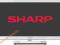 IDEALNY DO SYPIALNI TV LED SHARP LC24LE250VWH