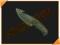 CS:GO  knife/nóż  Gut Knife Safari Mesh - NEOGEAR