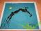 STEVIE WINWOOD Arc of a diver !!! ex TRAFFIC