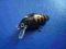 WOBLER NA KLENIA I JAZIA - 3cm/2g - NOWY - SUPER !