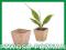 DONICZKI TORFOWE 14szt 8x8x8cm 745103 DO WYSIEWU